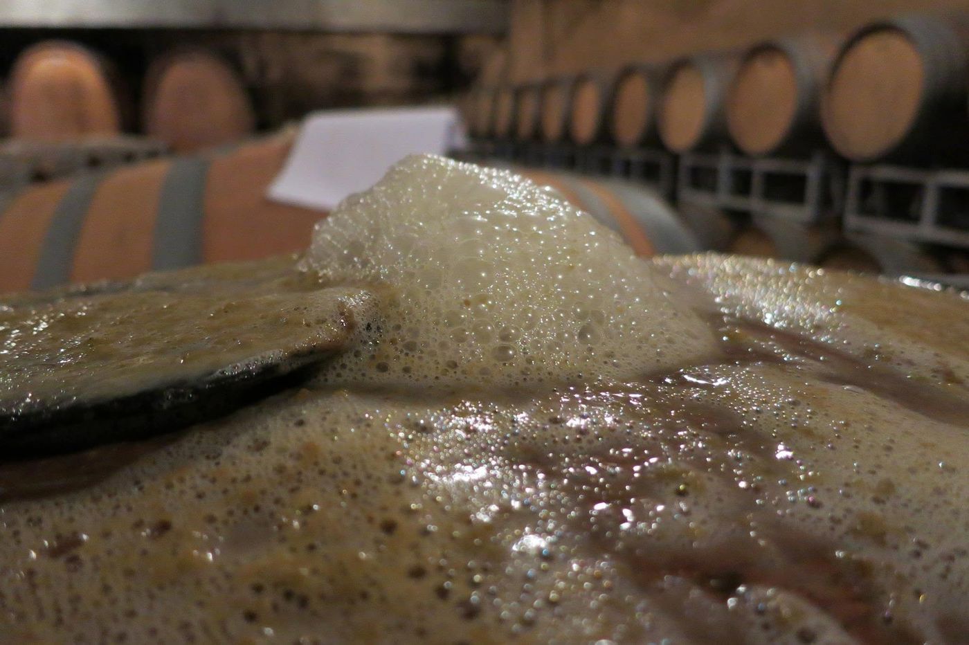 Foam pushing out of the open bung of a fermenting barrel