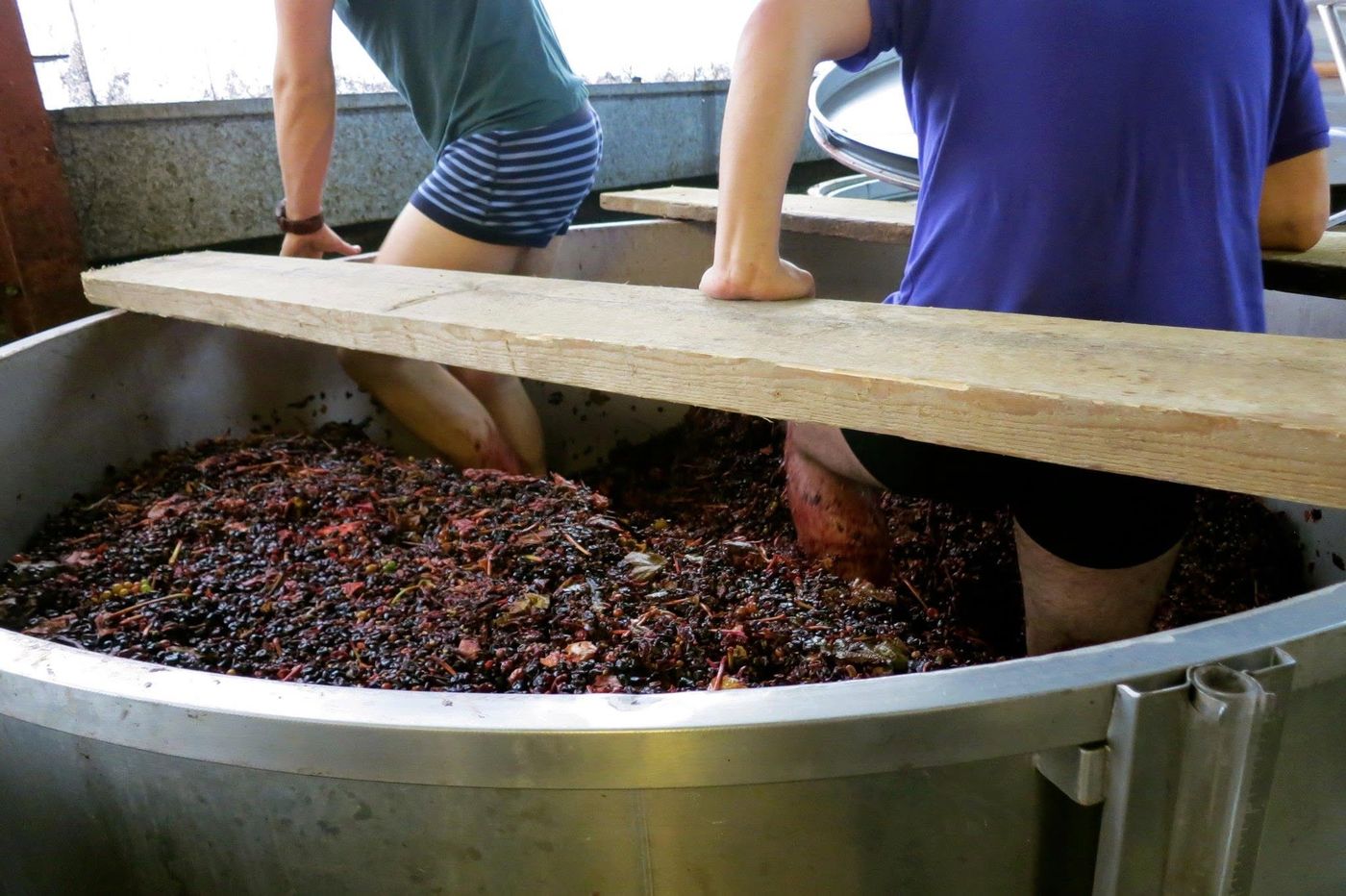 Two people treading down the cap of skins in an open tank