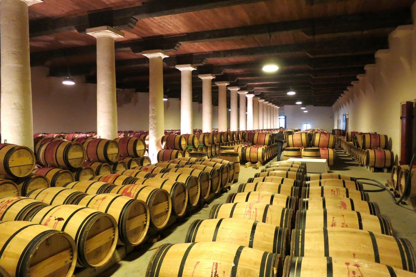 A columned barrel hall holding several hundred barriques