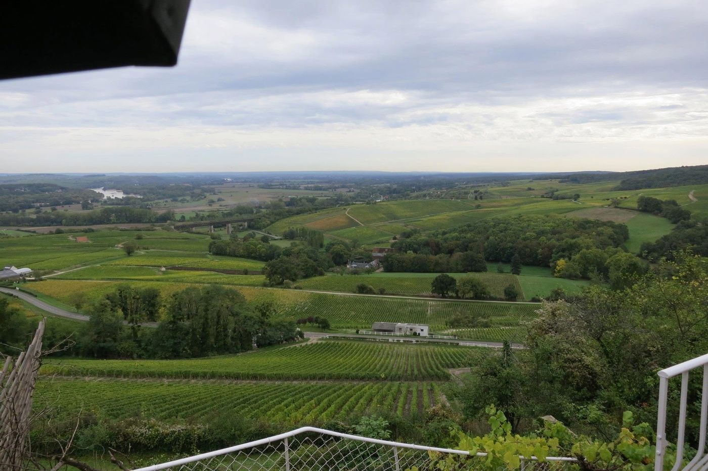 Vineyard parcels running north toward the Loire valley
