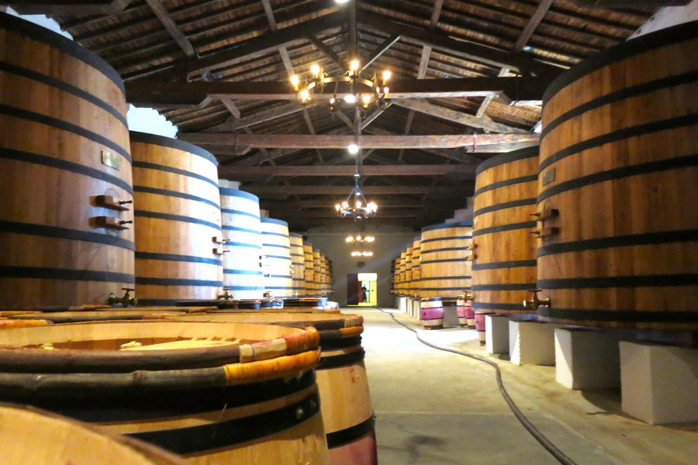 Large wooden foudres under a beamed roof